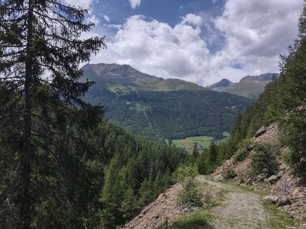 A forest trail with mountain views near Sölden
